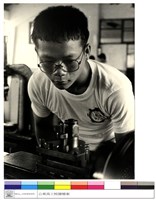 藏品((無圖名))的圖片