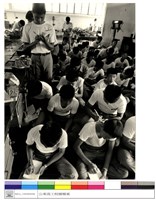 藏品((無圖名))的圖片