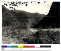 藏品((無圖名))的圖片