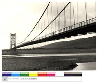 藏品((無圖名))的圖片