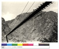 藏品((無圖名))的圖片