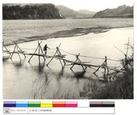 藏品((無圖名))的圖片