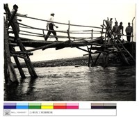 藏品((無圖名))的圖片