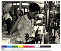 藏品((無圖名))的圖片