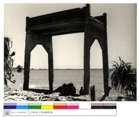 藏品((無圖名))的圖片