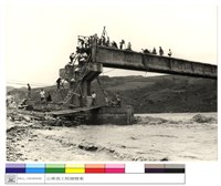 藏品((無圖名))的圖片