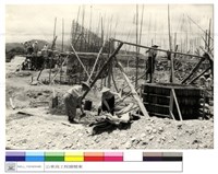 藏品((無圖名))的圖片