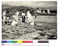 藏品((無圖名))的圖片