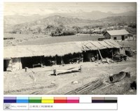 藏品((無圖名))的圖片