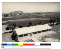 藏品((無圖名))的圖片