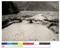 藏品((無圖名))的圖片