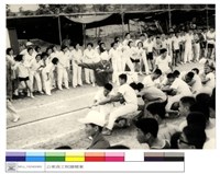 藏品((無圖名))的圖片