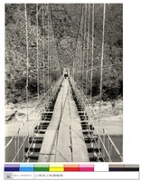 藏品((無圖名))的圖片