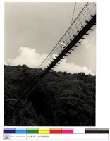 藏品((無圖名))的圖片