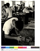 藏品((無圖名))的圖片