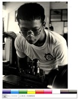 藏品((無圖名))的圖片