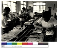 藏品((無圖名))的圖片