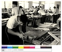 藏品((無圖名))的圖片