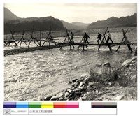 藏品((無圖名))的圖片