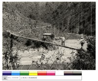 藏品((無圖名))的圖片