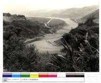 藏品((無圖名))的圖片