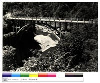 藏品((無圖名))的圖片