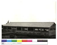 藏品((無圖名))的圖片