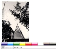 藏品(N/A)的圖片