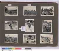 藏品(N/A)的圖片