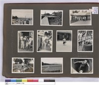 藏品(N/A)的圖片