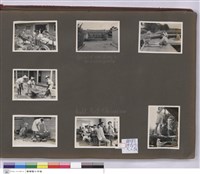 藏品(N/A)的圖片