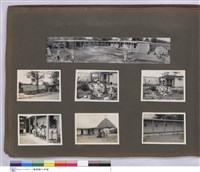 藏品(N/A)的圖片