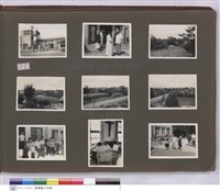 藏品(N/A)的圖片