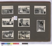 藏品(N/A)的圖片