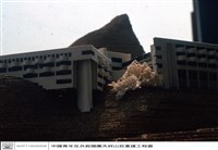 藏品(N/A)的圖片