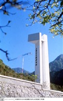 藏品(N/A)的圖片