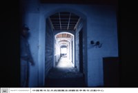 藏品(N/A)的圖片