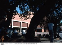 藏品(N/A)的圖片