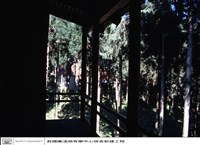 藏品(N/A)的圖片