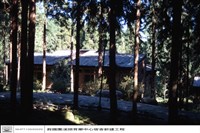 藏品(N/A)的圖片