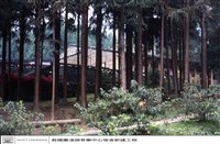 藏品(N/A)的圖片