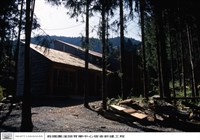 藏品(N/A)的圖片