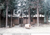 藏品(N/A)的圖片