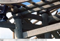 藏品(N/A)的圖片