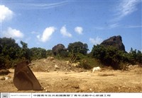 藏品(N/A)的圖片