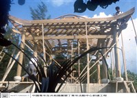 藏品(N/A)的圖片