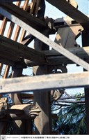 藏品(N/A)的圖片