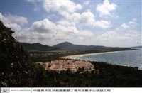 藏品(N/A)的圖片