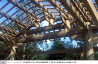 藏品(N/A)的圖片