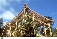 藏品(N/A)的圖片